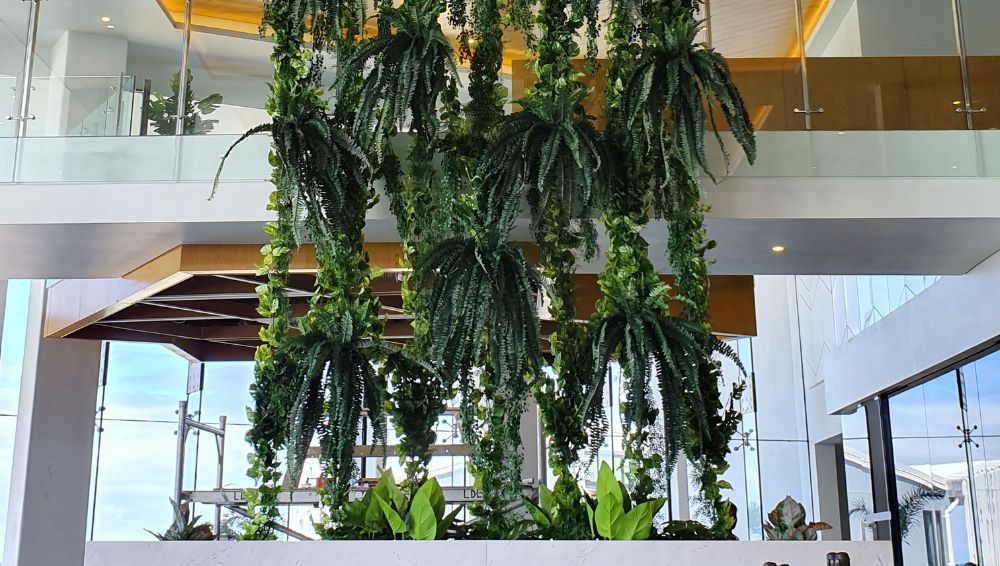 evergreen walls green commercial hospitality hanging greenery loloata